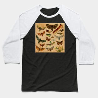 Butterfly Baseball T-Shirt